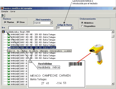 Codigo De Barras Por Carlos Serrano Universidad De Zaragoza Espana