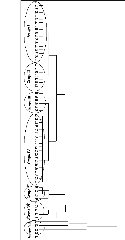 Diagrama De Arbol. Figura: Diagrama de árbol